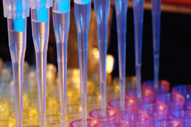 Klinik Kimya ve İmmünokimya